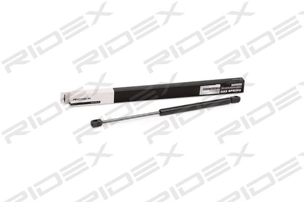 Gas Spring, boot/cargo area