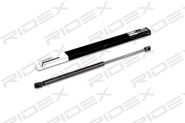 Gas Spring, boot/cargo area (219G0121)