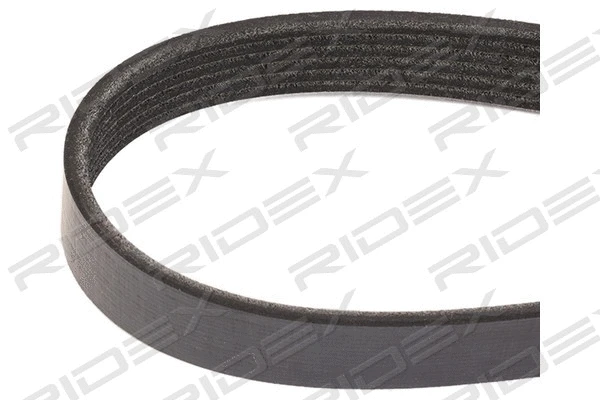 V-Ribbed Belt (305P0170)