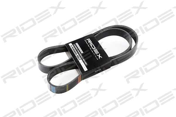 V-Ribbed Belt (305P0065)