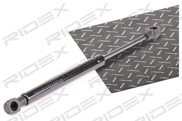 Gas Spring, boot/cargo area