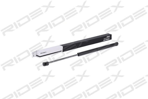 Gas Spring, boot/cargo area