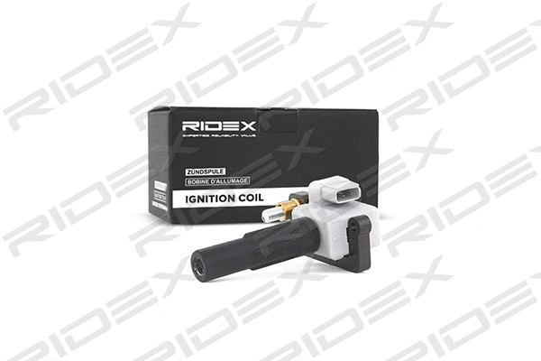 Ignition Coil (689C0183)