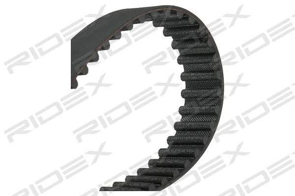 Timing Belt