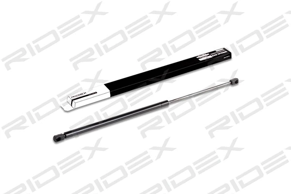 Gas Spring, boot/cargo area (219G0233)