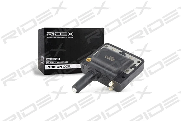 Ignition Coil (689C0181)