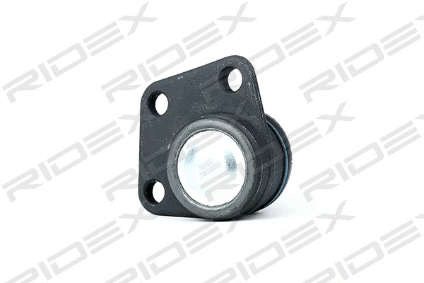 Ball Joint (2462S0079)