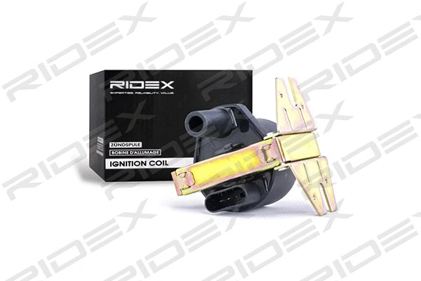 Ignition Coil (689C0196)