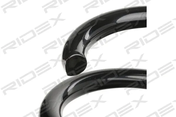 Suspension Spring (188C0183)