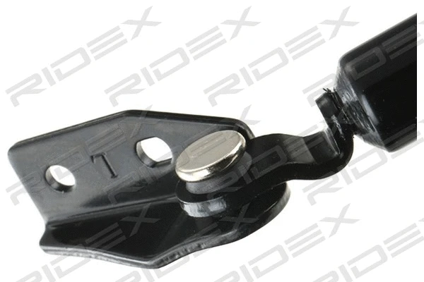 Gas Spring, boot/cargo area