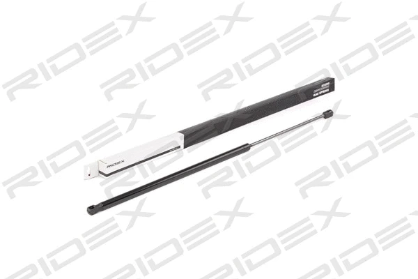 Gas Spring, boot/cargo area