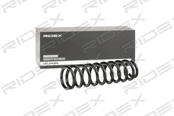 Suspension Spring