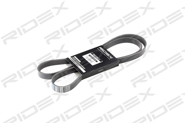 V-Ribbed Belt (305P0081)