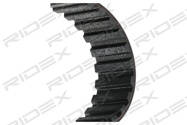 Timing Belt