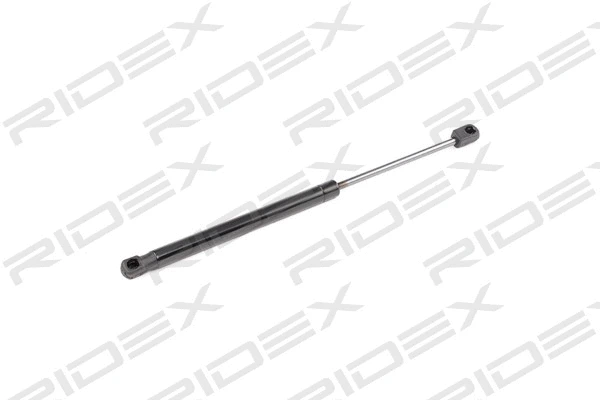 Gas Spring, boot/cargo area (219G0308)