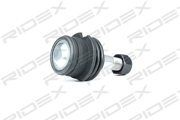 Ball Joint (2462S0097)