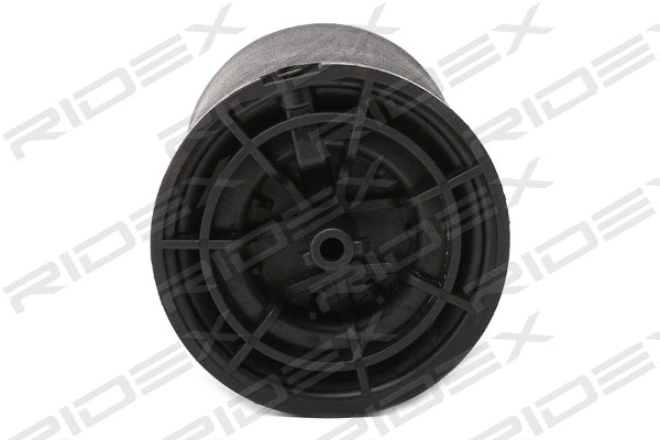 Air Spring, suspension