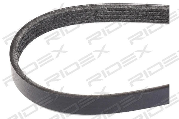 V-Ribbed Belt (305P0351)