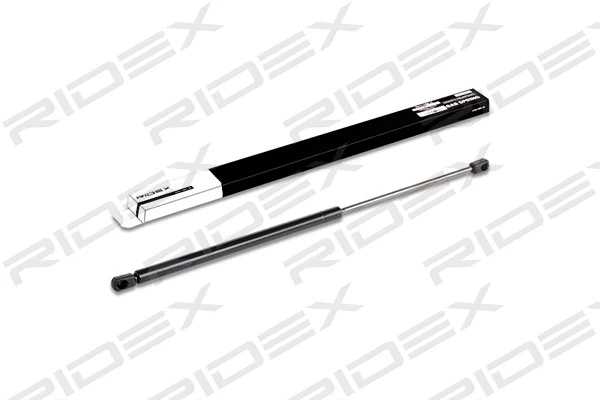 Gas Spring, boot/cargo area (219G0123)