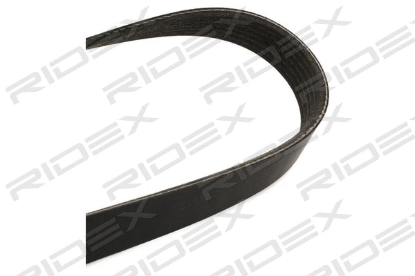 V-Ribbed Belt (305P0097)