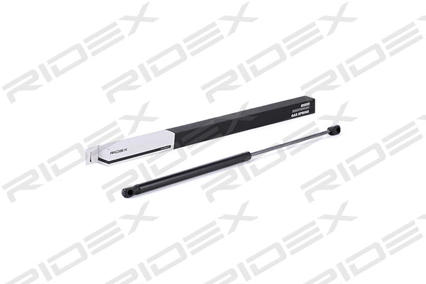 Gas Spring, boot/cargo area (219G0318)