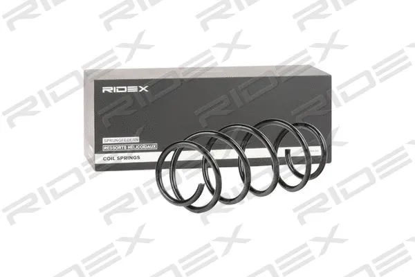 Suspension Spring