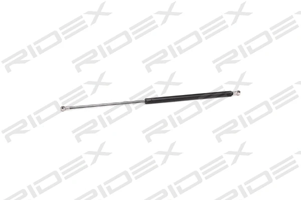 Gas Spring, boot/cargo area (219G0274)