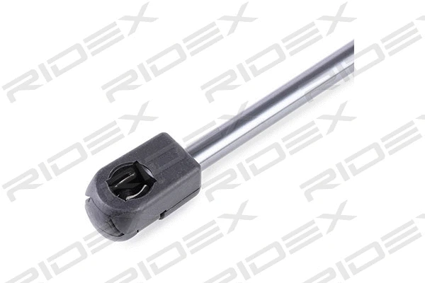 Gas Spring, boot/cargo area (219G0143)
