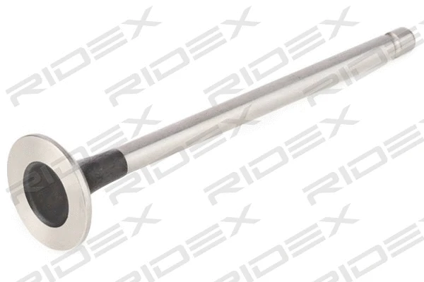 Exhaust Valve