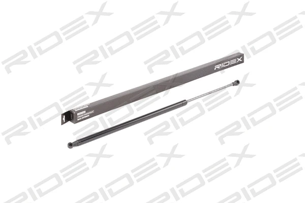 Gas Spring, boot/cargo area