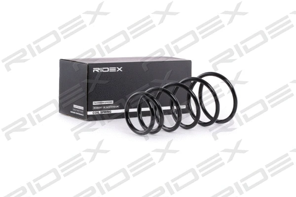 Suspension Spring (188C0544)