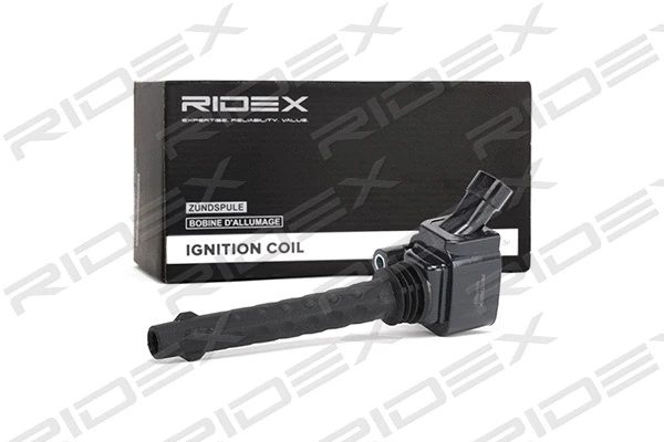 Ignition Coil (689C0220)