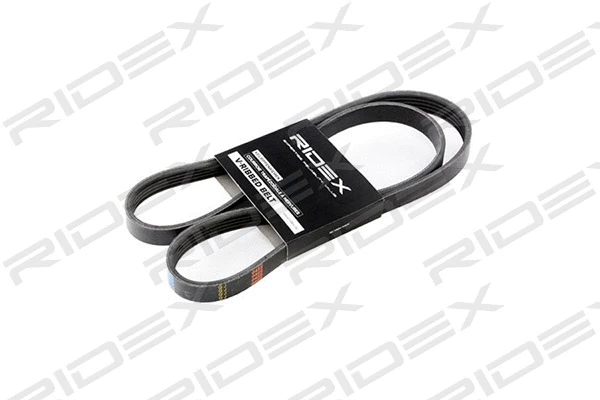 V-Ribbed Belt (305P0249)