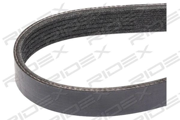 V-Ribbed Belt (305P0058)