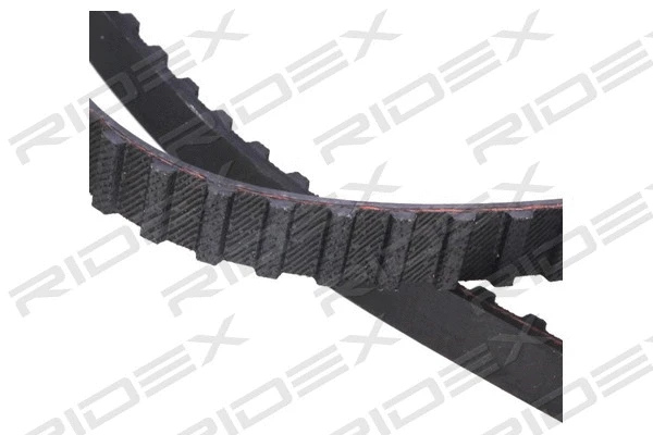 Timing Belt