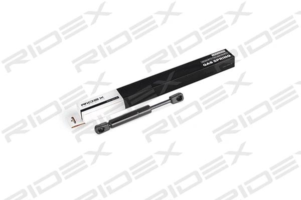 Gas Spring, boot/cargo area (219G0210)