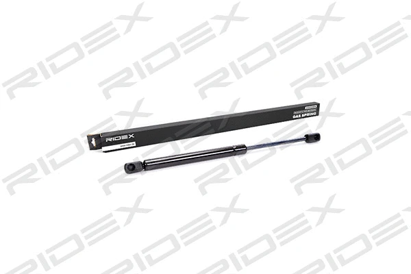 Gas Spring, boot/cargo area (219G0003)