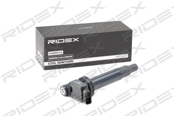 Ignition Coil (689C0318)