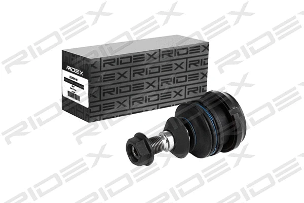 Ball Joint (2462S0198)