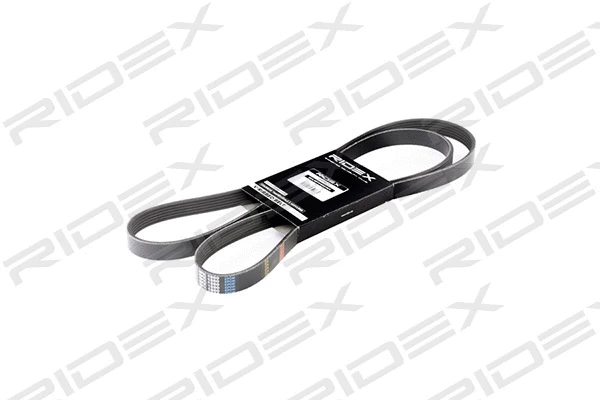 V-Ribbed Belt (305P0090)