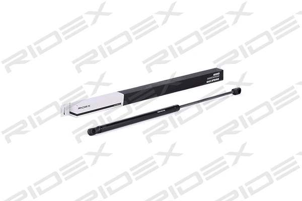 Gas Spring, boot/cargo area (219G0317)