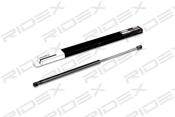 Gas Spring, boot/cargo area (219G0110)