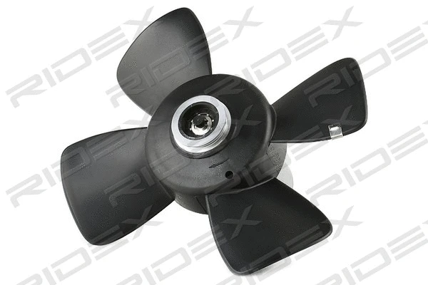 Fan, engine cooling