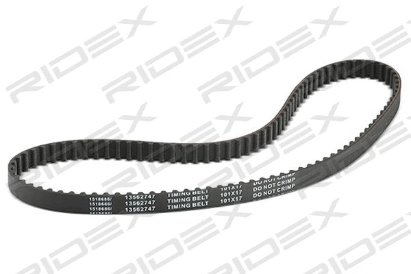 Timing Belt