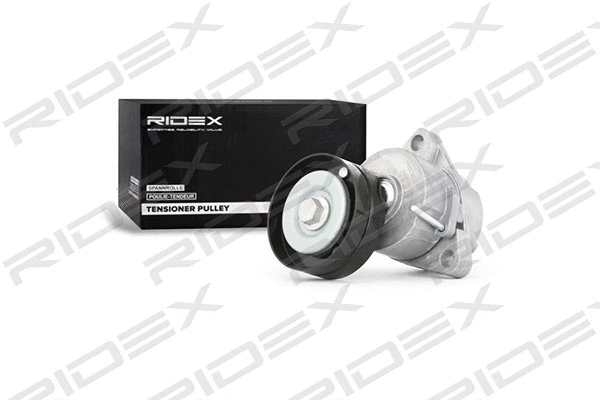 Tensioner Lever, V-ribbed belt (540T0016)