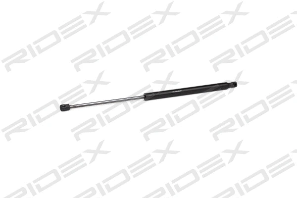 Gas Spring, boot/cargo area (219G0816)