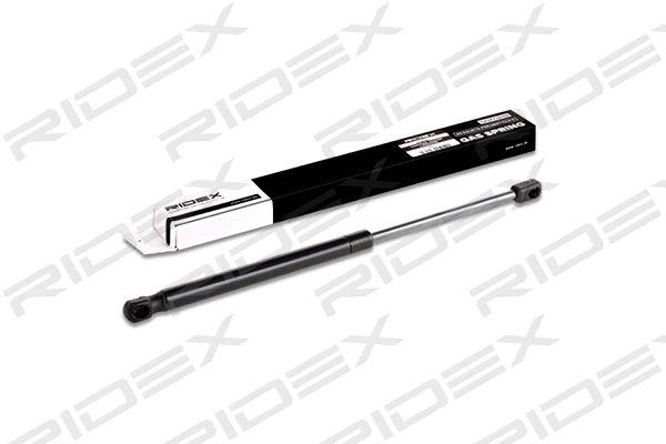 Gas Spring, boot/cargo area (219G0205)