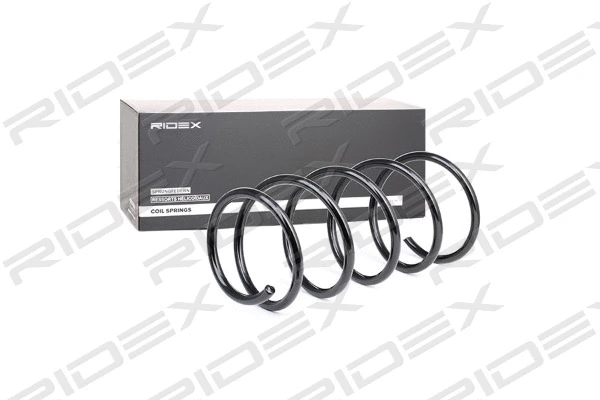 Suspension Spring (188C0208)