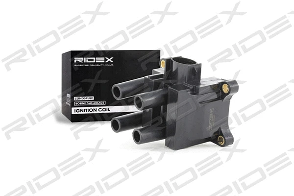 Ignition Coil (689C0007)