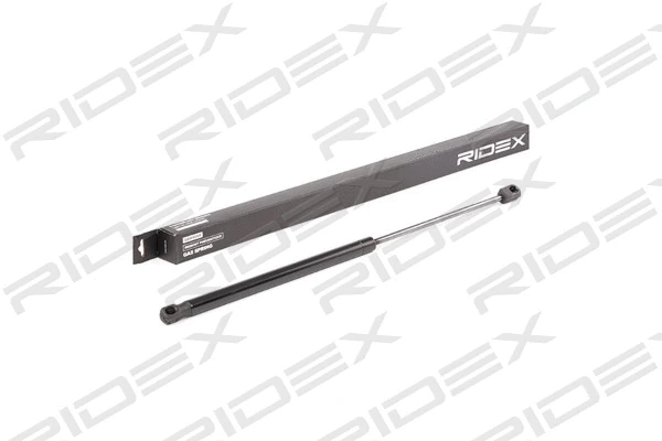 Gas Spring, boot/cargo area